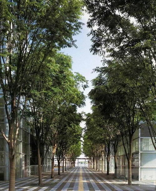 �Θ�(sh��)�V��(ch��ng)