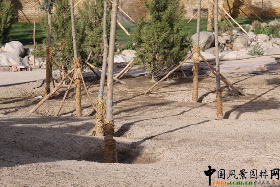 �¿��A���½���(k��)���������A�@�(xi��ng)Ŀ