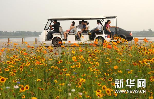 �c�����´��ڞg�[�DƬ