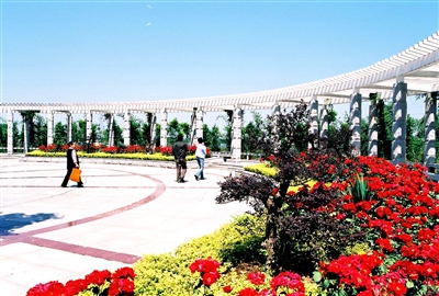 ���߲ʡ��@�ְ��n���B�|����(�M�D)