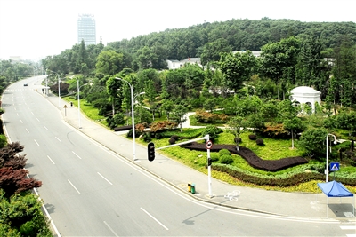 ���߲ʡ��@�ְ��n���B�|����(�M�D)