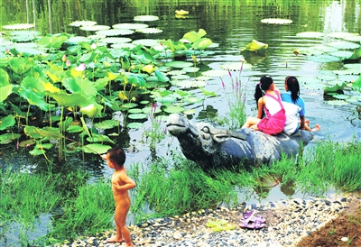 ���߲ʡ��@�ְ��n���B�|����(�M�D)