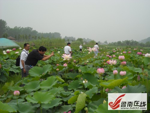 ɽ�|�����f�_���f�^(q��)�\�ӝ��400��N�ɻ�����`��