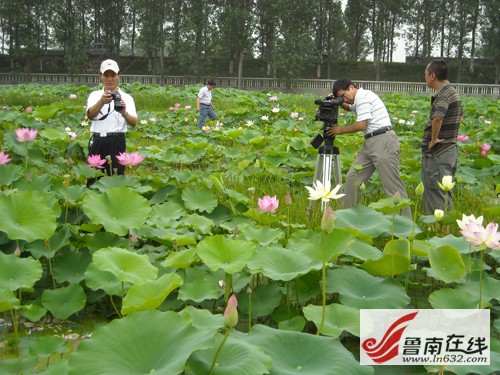 ɽ�|�����f�_���f�^(q��)�\�ӝ��400��N�ɻ�����`��