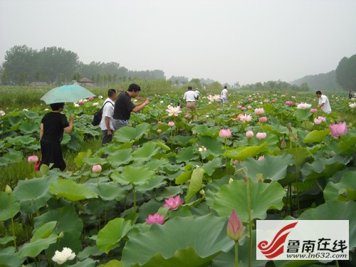 ɽ�|�����f�_���f�^(q��)�\�ӝ��400��N�ɻ�����`��