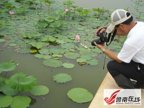 ɽ�|�����f�_���f�^(q��)�\�ӝ��400��N�ɻ�����`��