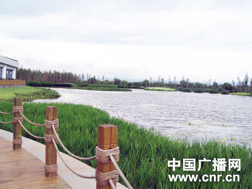 �c(di��n)������D