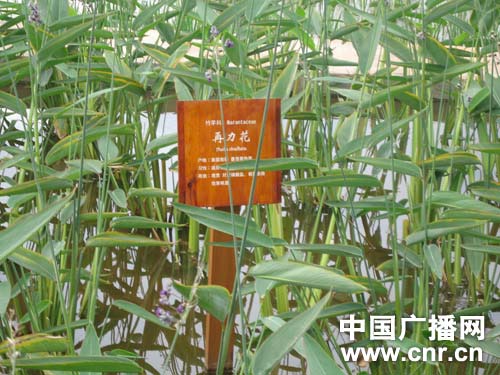 �c(di��n)������D