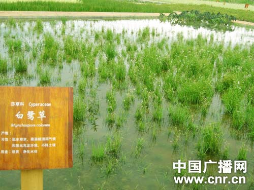 �c(di��n)������D