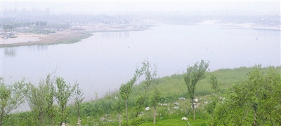 �c������D