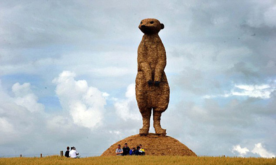 �c�����´��ڞg�[�DƬ