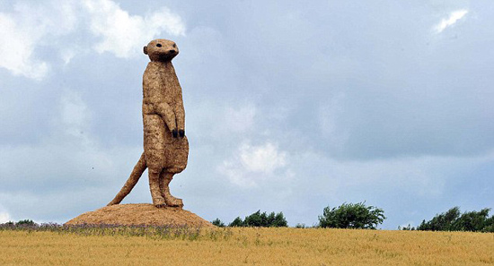 �c�����´��ڞg�[�DƬ