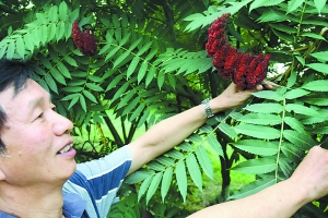 ������֘�N���þ�� �ÿ��Ļ��䌍���������