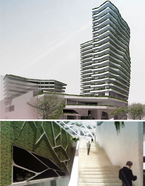 �c�����´��ڞg�[�DƬ