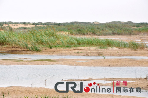 ����ֲ���c�Gɳ�^ ���m����ɳĮ���C�٬F