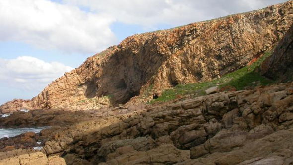 �c�����´��ڞg�[�DƬ