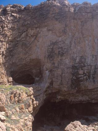 �c�����´��ڞg�[�DƬ