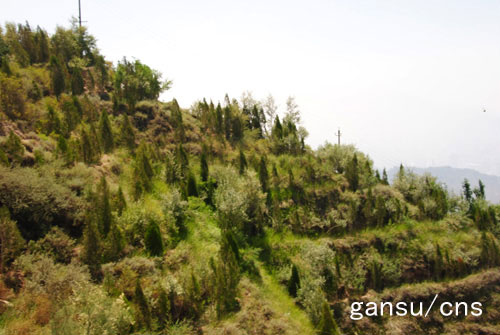 �m�ݣ���ɽ�����G����e33.3�f(w��n)�� �þGɫ׌���к���