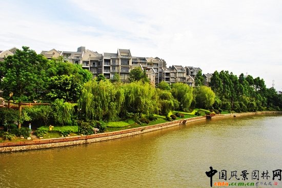 ������̩�������u