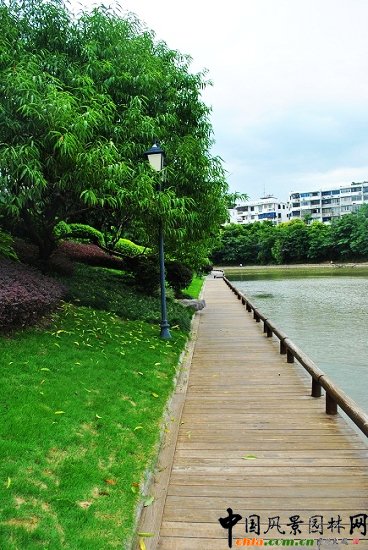 ������̩�������u