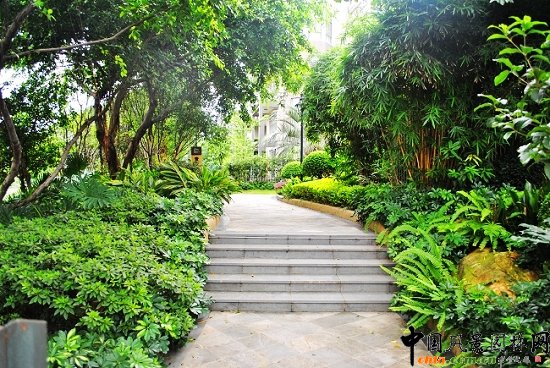 ������̩�������u