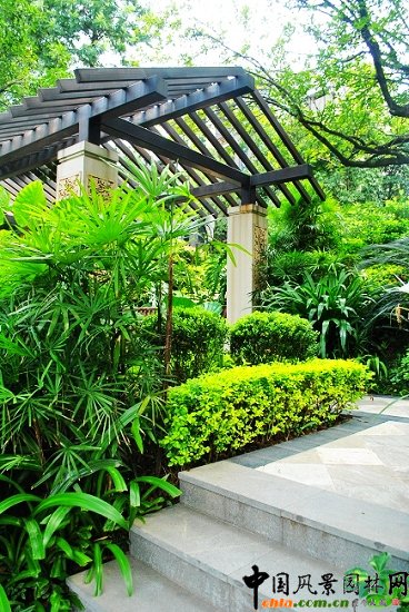 ������̩�������u