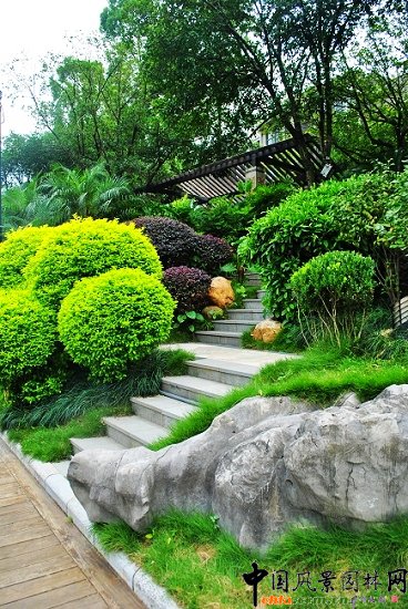 ������̩�������u