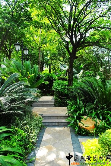 ������̩�������u