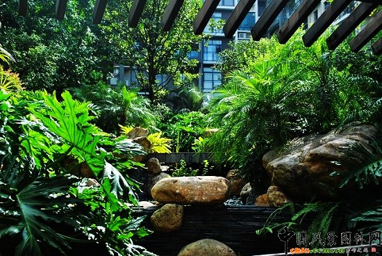 ������̩�������u