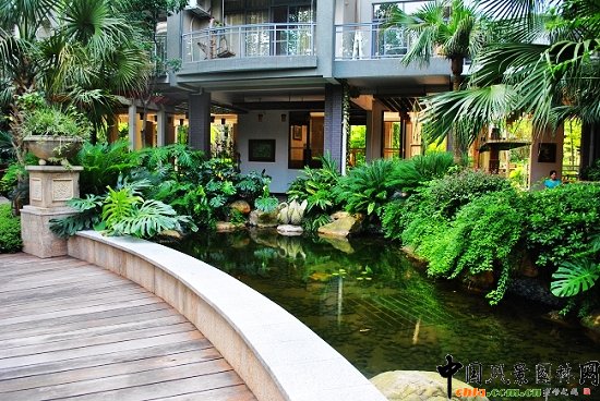 ������̩�������u