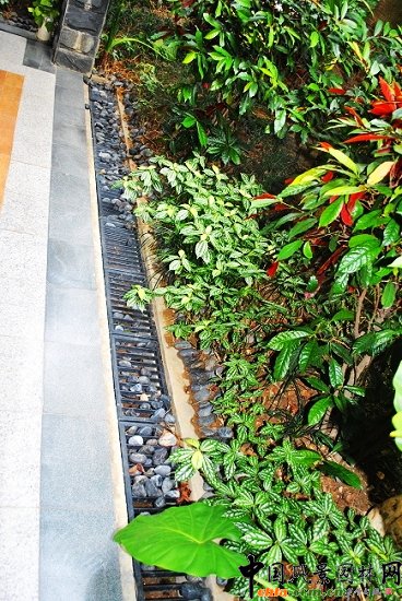 ������̩�������u