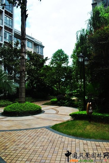 ������̩�������u