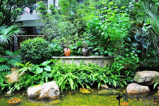 ������̩�������u