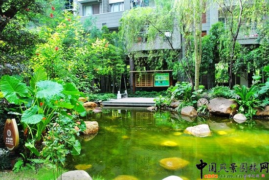 ������̩�������u