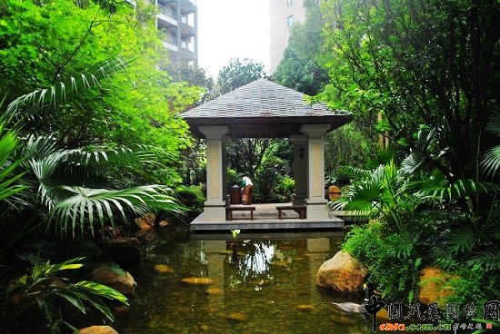 ������̩�������u