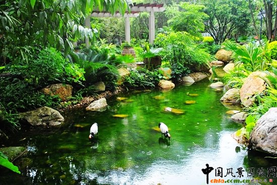 ������̩�������u