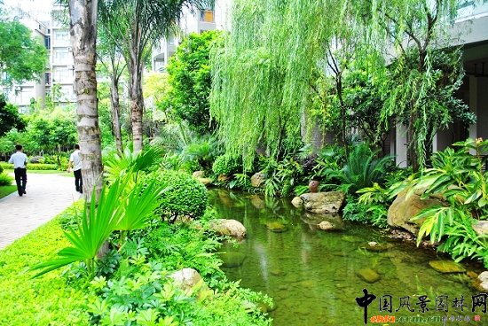 ������̩�������u