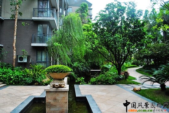 ������̩�������u