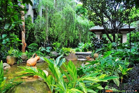 ������̩�������u