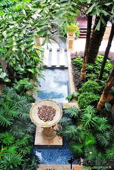 ������̩�������u