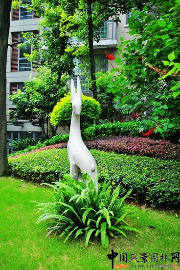 ������̩�������u