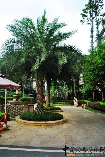 ������̩�������u