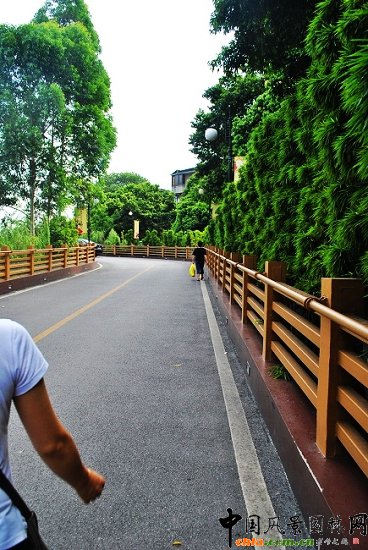 ������̩�������u