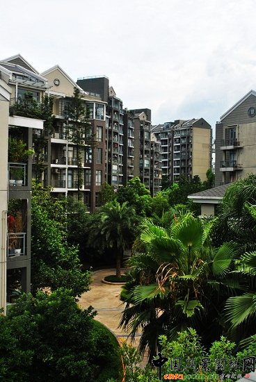 ������̩�������u