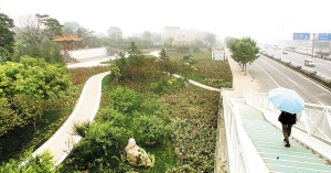 �c������D