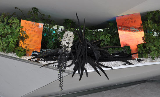 ���Ե��Լ���ֲ��