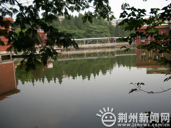 �c(di��n)������D