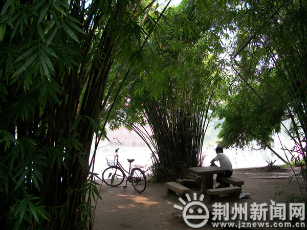 �c(di��n)������D