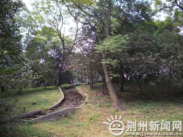 �c(di��n)������D