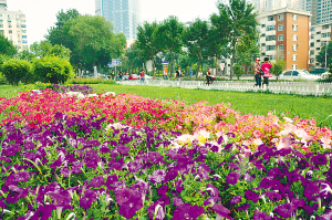 �c������D